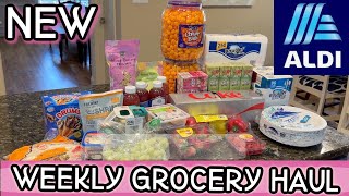 Weekly Grocery Haul Family Of 4 | ALDI Grocery Finds