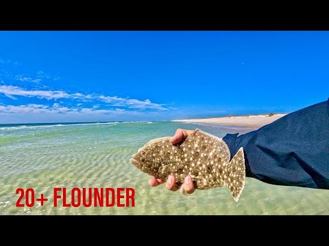 How to catch TONS of Flounder in the surf (TIPS, TRICKS & LURES)