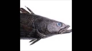 Larry Fisherman - !Go Fish! Volume 2 (Feat. Your Old Droog) SLOWED DOWN