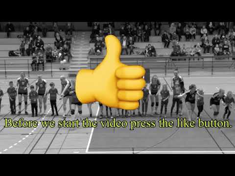 Lunds volleyboll klubb