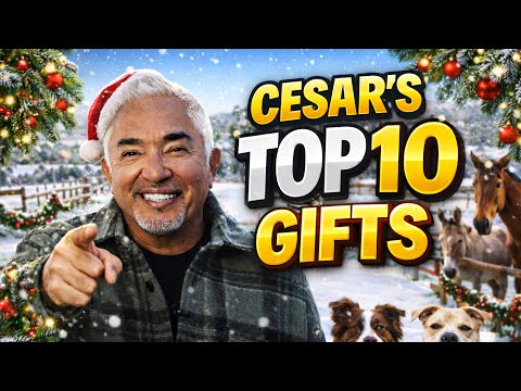 The 10 Gifts That Changed My Life Forever | Cesar Millan