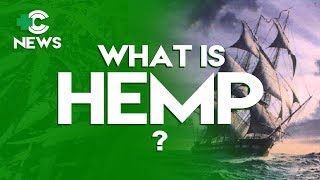 What is Hemp?