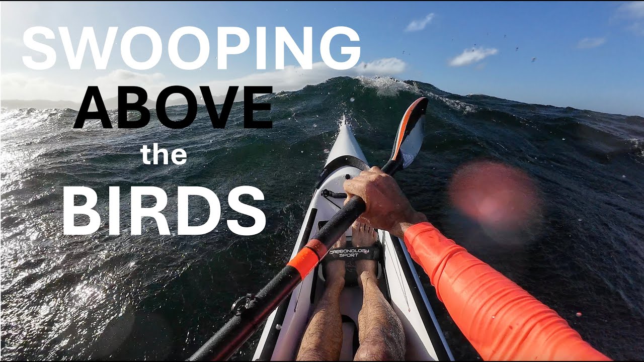 SURFKSI: Swooping ABOVE the Birds (Sub50?: 4of6)