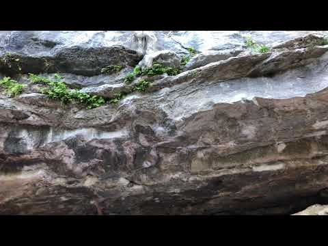 Hank’s Direct - V7, Gus Fruh