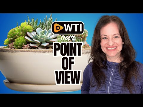 SQOWL Succulent Pots 8 Inch - Ceramic Bonsai Pots for Indoor Plants - WTI product video review