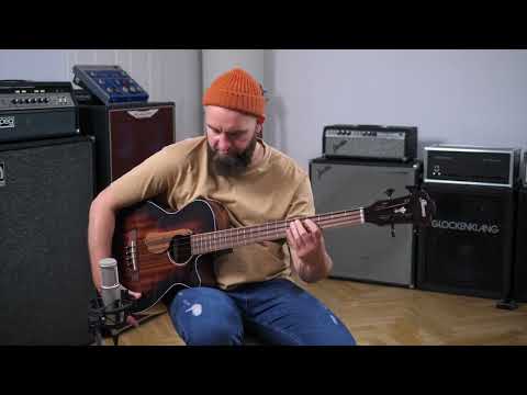 Ibanez AEGB24E - Percussive Acoustic Bass