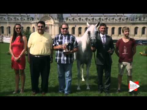 1st Place N.41 SALWA AL ZOBAIR - Chantilly 2015 AWC - Mares Championship (Class 13)