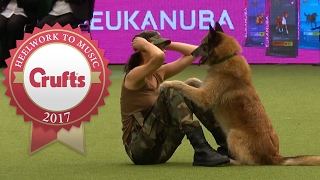 Amazing Dog Performs CPR, Squats and Press Ups in Heelwork To Music Routine | Crufts 2017