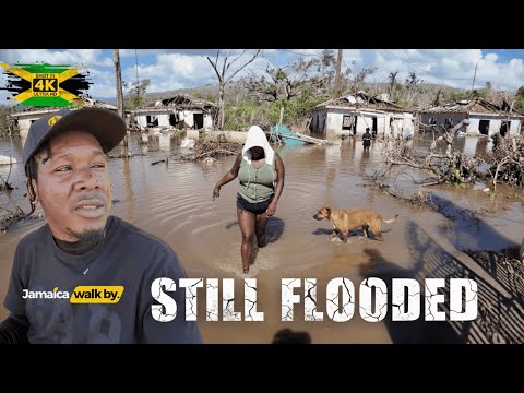 ✓⚠️ Reading District St Elizabeth Is GONE… Hurricane Melissa Took Everything 💔🇯🇲