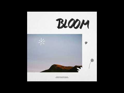 Iann Dior x Guitar x Indie Type Beat - "Bloom"