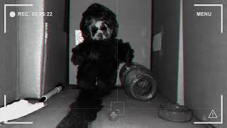 Existe um tesouro embaixo da cama - DUMB: Treasure