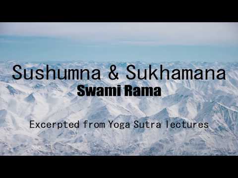 Sushumna and Sukhamana by Swami Rama (YS3#17)