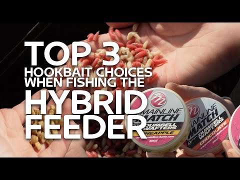Top 3 Hookbait Choices when fishing the Hybrid Feeder