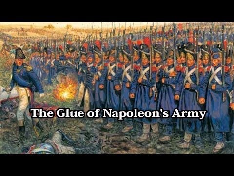 Napoleon's Imperial Guard | The Glue That Held the Army Together