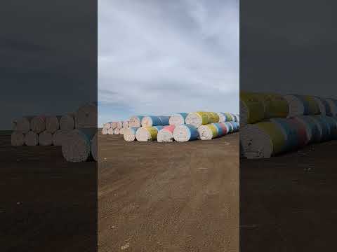 Roça de algodão, pluma de algodão, carga de algodão. Alto taquari mato grosso divisa de estado