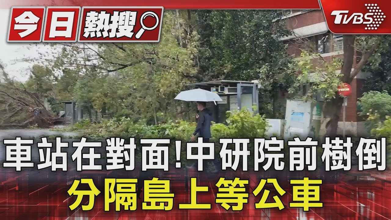 站牌在對面! 中研院前樹倒 分隔島上等公車
