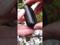 We found spy black box, what inside... - X-Findings We found spy black box, what inside...