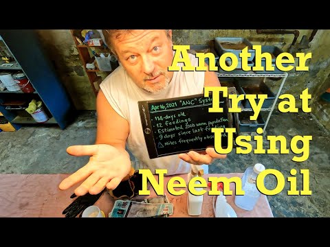 Trying cold-pressed neem oil against mites in ANC worm bin - vermicompost