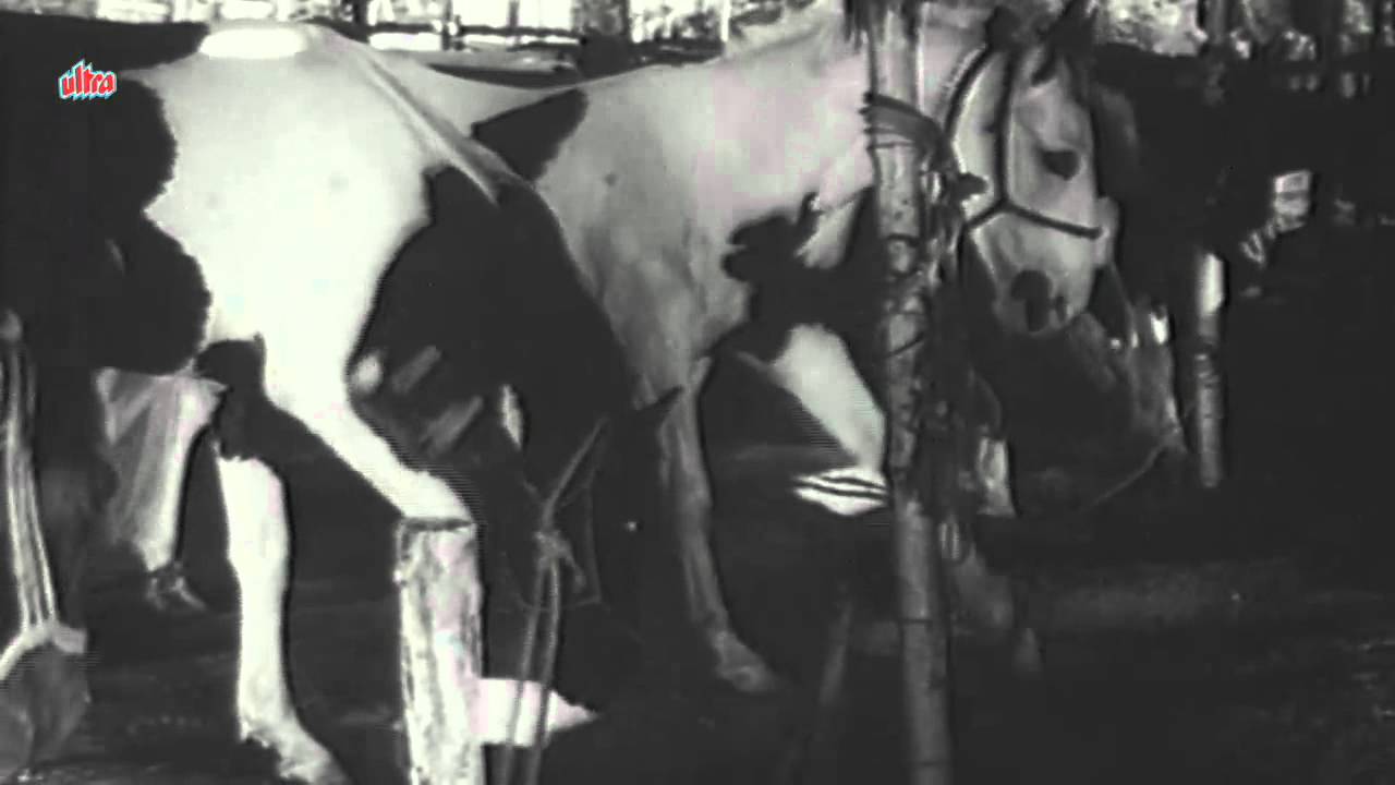 Hasna Gana Mauj Udana Dhum Machana Lyrics | Circus Queen | Shafi M Nagri