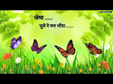 Dari re Dari rukhwa ke Dari cg status video