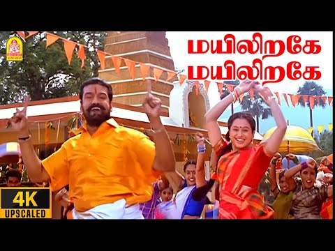 Mayilirage Mayilirage - 4K Video Song | மயிலிறகே  | Thenkasi Pattanam | Sarath Kumar | Devayani