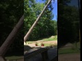 IMG 03722