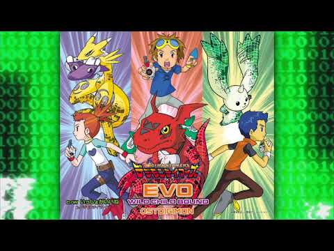 WILD CHILD BOUND - EVO