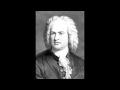 Jan Petryka J S Bach BWV 101 Aria 'Handle nicht ...