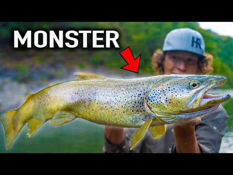 MONSTERLIJKE FORELLEN VANGEN IN SPANJE😱!! (BIZAR)
