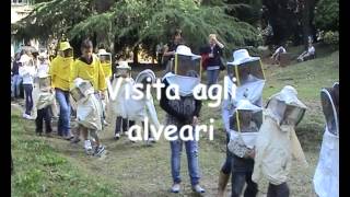 preview picture of video 'festa delle api ad Erba 2012.mp4'