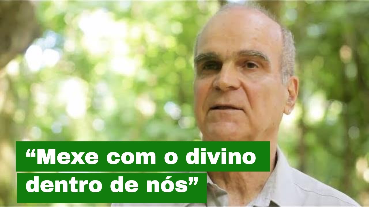 A meditação, yoga e Ayahuasca