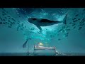 Whale Sounds Deep Underwater Ocean Piano Relaxation Sleep Music