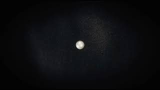 My Brightest Diamond | A Million Pearls