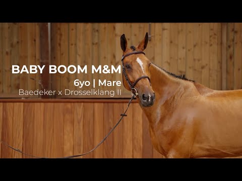 12. Baby Boom M&M | Profile