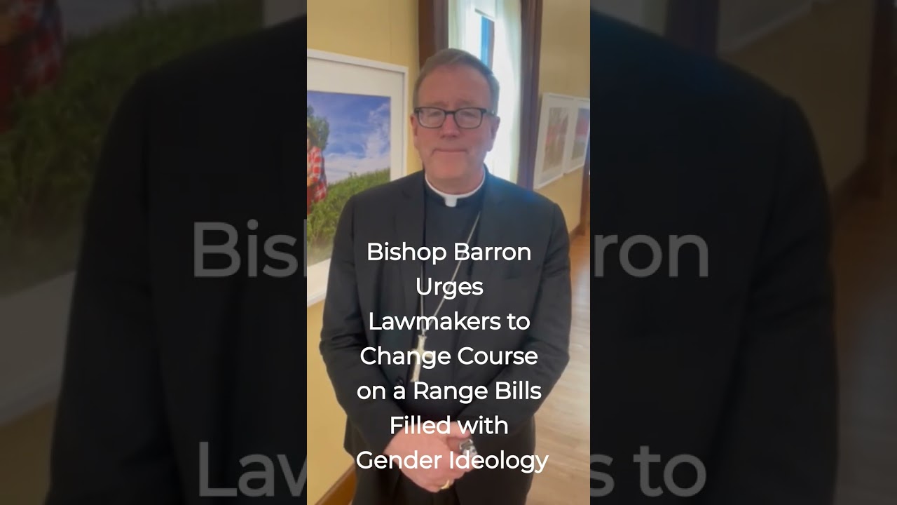 Bishop Barron shares gender ideology concerns with lawmakers