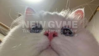 Download lagu NEW GVME - TUA BANGKA JARANG SADAR | SPEEDUP   REVERB mp3