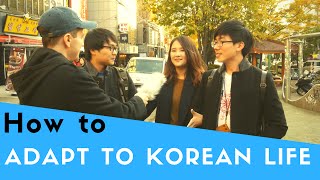 How to Adapt to Life in Korea