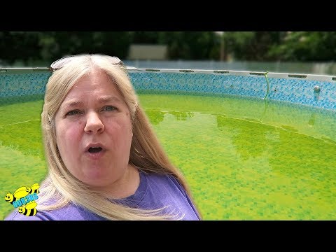 download lagu mp3 mp4 Above Ground Pool Green Afternoon, download mp3 Above Ground Pool Green Afternoon free downloadn, video klip Above Ground Pool Green Afternoon