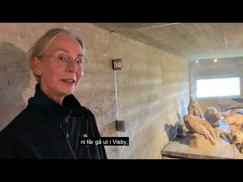 Stadsvandring: Konsten i världsarvet (del 3: Noaks ark)