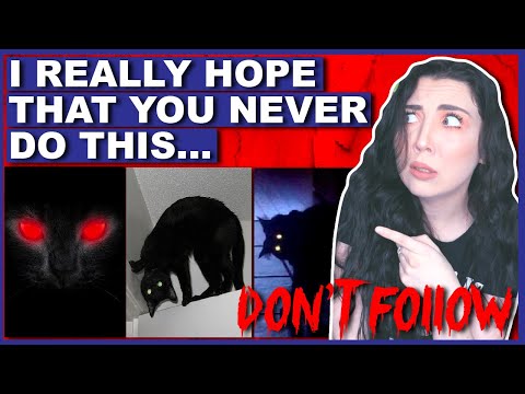 Why You Should NEVER Follow A Black Cat...