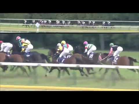 Satono Aladdin Yasuda Kinen 2017