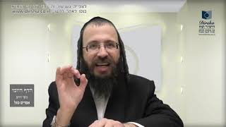 הדף היומי באידיש מסכת סוכה דף לח