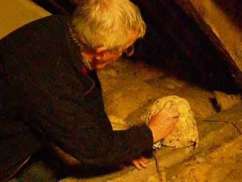 Wasp nest in attic space in Erddig Hall.