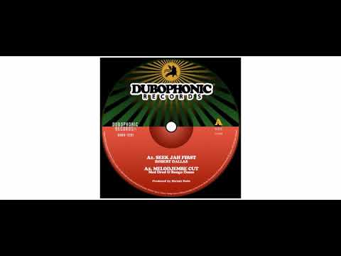 Hermit Dubz / Robert Dallas / Ranking Joe /  - Seek Jah First - 12" - Dubophonic