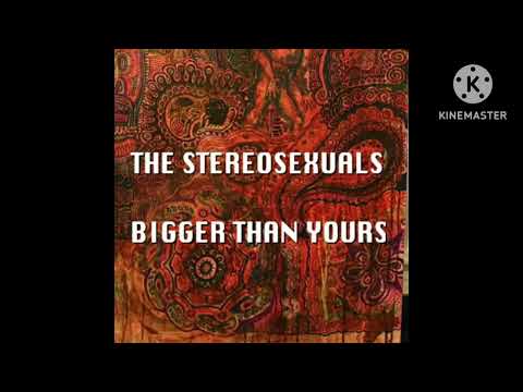 The Stereosexuals - Unknown Song (A Shot Of Adrenaline) snippet