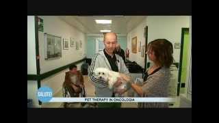 preview picture of video 'Pet therapy in oncologia'