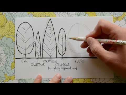 Drawing Tree Forms