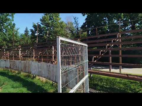 CSO Plopeni vs Urban Titu. Stadion Gheorghe Silaev. Meci amical. Football Scouting 19.07.2025 ⚽ ✍🏻 📝