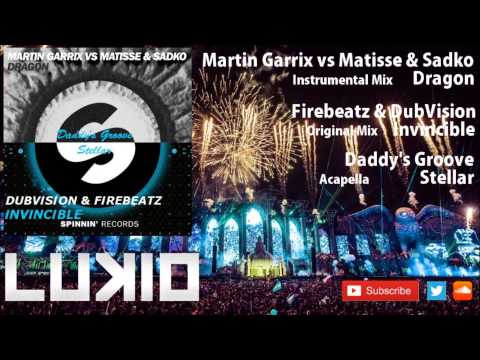 Martin Garrix vs Firebeatz & DubVision ft. Daddy's Groove - Invincible Stellar Dragon (LuKio Mashup)