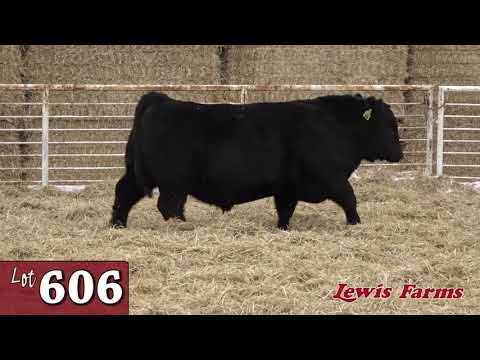 Lot 606 -LFE 2020.mp4